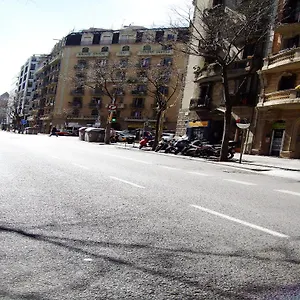 Apartment Fira 